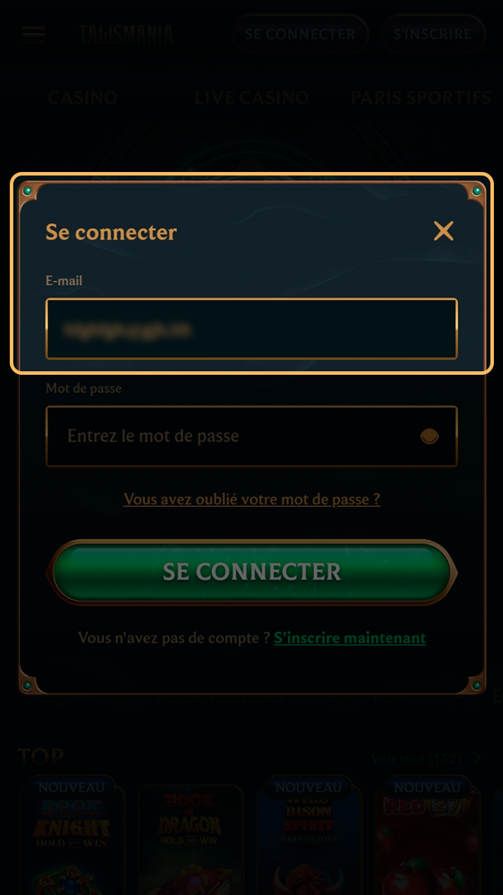 Saisie de votre adresse e-mail pour l'identification Talismania