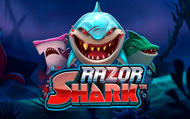Plongez avec les requins de Razor Shark sur Talismania.